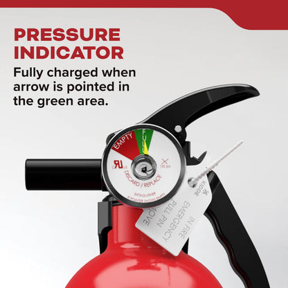 Basic 110 Fire Extinguisher 1-A:10-B:C, FA110G