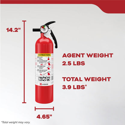 Basic 110 Fire Extinguisher 1-A:10-B:C, FA110G