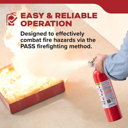Basic 110 Fire Extinguisher 1-A:10-B:C, FA110G