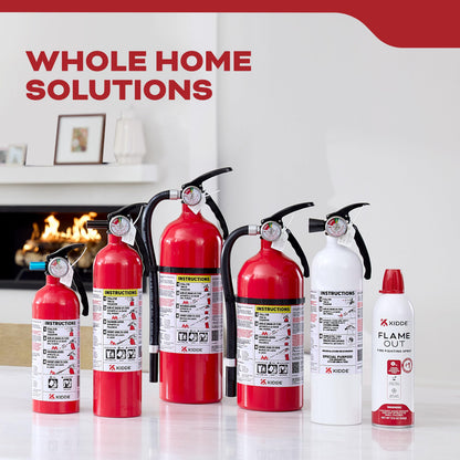Basic 110 Fire Extinguisher 1-A:10-B:C, FA110G