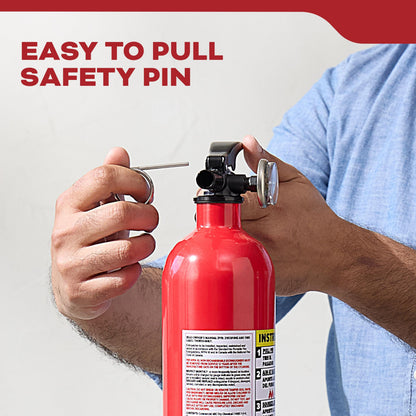 Basic 110 Fire Extinguisher 1-A:10-B:C, FA110G